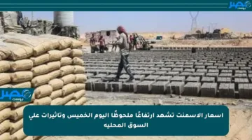 أسعار الأسمنت تشهد ارتفاعًا ملحوظًا اليوم الخميس وتأثيرات على السوق المحلية